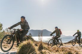 Passeio de bicicleta e caminhada em Ålesund