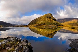 Ring of Kerry Day Tour fra Killarney: Inklusive Killarney National Park