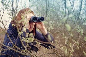  Excursión de un día desde Tirana a la laguna Karavasta - programa de observación de aves