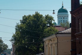 Helsinki Walking Tour - Lille gruppe