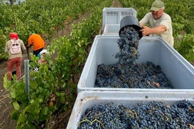 1 jour: Visite de dégustation de vin à la cave Milesti Mici et Cricova de Moldavie