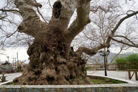 Tour privato di un'intera giornata a Creta orientale da Heraklion