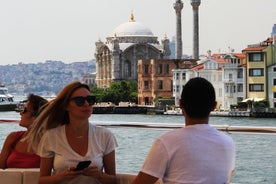 Déjeuner-croisière à Istanbul sur le Bosphore et la mer Noire