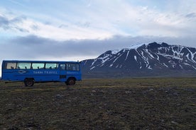 Into the Highlands 4x4 Bus Truck Day Tour