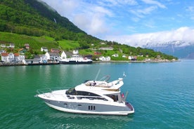 Bergen - Rosendal día completo de crucero redondo