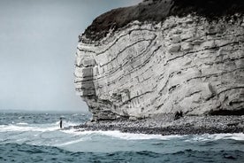 Stevns Klint UNESCO and Viking Kings Hall Tour from Copenhagen