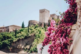 Upptäck stadsdelen Albaicin och dess andalusiska monument