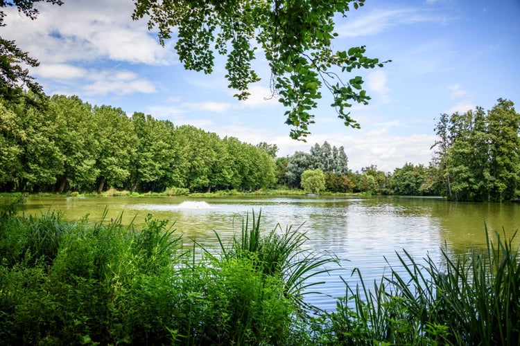 Photo of Lake in Provinciedomein Kessel-Lo in Belgium.