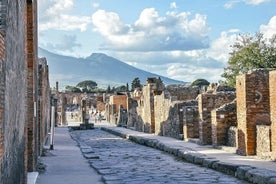 Excursion d'une journée de Rome à Pompéi et accès coupe-file.