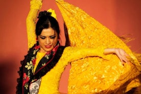 Authentische Flamenco-Show in Marbella