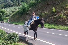 Visita guiada a Sete Cidades y Lagoa do Fogo, almuerzo incluido