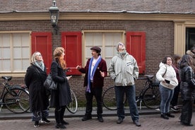 Piccolo gruppo: tour a piedi di cultura e storia di Amsterdam