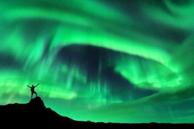 Classic Northern Lights Tour from Reykjavik with Live Guide and Touch-Screen Audio Guide