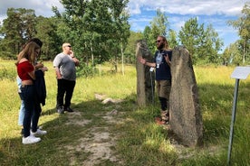 Tour privato di mezza giornata: Viaggio nella storia dei vichinghi da Stoccolma Compreso Sigtuna