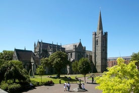 Dublin Highlights Tour inklusive Ticket ohne Warteschlange für den Besuch der St Patricks Cathedral