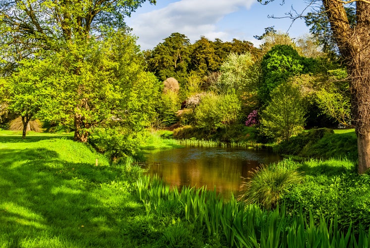 Castle gardens in Ireland in a spring robe, after a storm, Blarney Castle Cork, Ireland