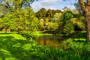 Photo of beautiful landscape of Killarney, a city of Ireland.