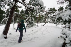 Vinter skärgårdsutflykt