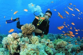 Scuba Diving Tour