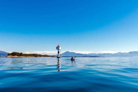 Molde - Guided kayak tour