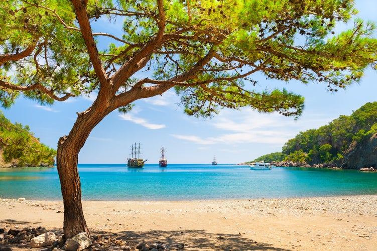 Photo of beautiful beach with turquoise water and pines. "Paradise bay" near Kemer, Turkey.