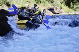 Excursion rafting à la journée sur le fleuve Tara au départ de Kotor