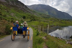 Bus-, Boots- und Jaunting-Cart-Tour (Jaunting-Cart-Tour wird separat bezahlt)