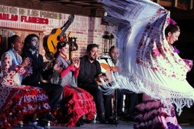 Madrider Flamenco-Abend und Abendessen