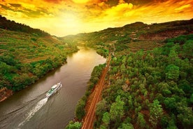 Tagesausflug von Porto nach Régua mit dem Bus, Rückfahrt mit dem Boot