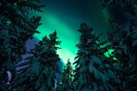 Private Aurora Hunting with Professional Photographer from Alta