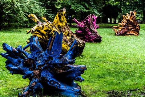 Photo of colorful tree roots in Dimitrie Ghica Park in Sinaia town, Prahova Valley, Romania.