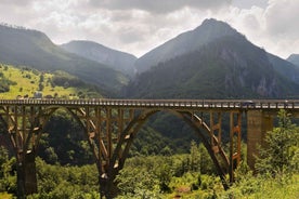 Frá Herceg Novi: Sérferð til Durmitor þjóðgarðs