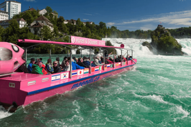 From Zurich: Rhine Falls & Stein am Rhein Private Day Trip