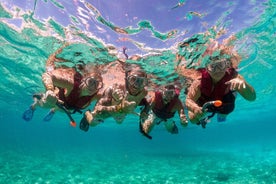 Esperienza di snorkeling nella baia di Leranto