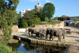 Cologne Zoological Garden