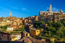 Tour privato della Toscana da Firenze, tra cui Siena, San Gimignano e la regione vinicola del Chianti