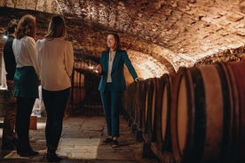 Visit of our XV° century cellars