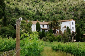 Finca Bell Lloc Brugarol