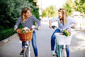 Passeio de bicicleta pelas principais atrações de Colônia com guia particular