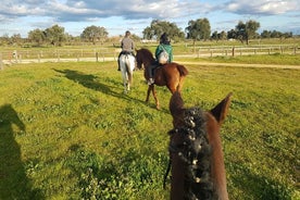 Horseback Riding Experience in Aljarafe, Doñana park from Seville