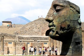 Omvisning i Pompeii og Herculaneum med lunsj og billetter inkludert