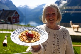 Visite partagée à la rencontre des locaux à Hellesylt en Norvège