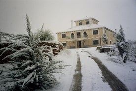 Cortijo Los Nogales