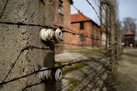 Auschwitz-Birkenau Skip-the-Line Ticket and Guided Tour