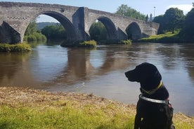 Tour Braveheart (Battaglia di Stirling Bridge).