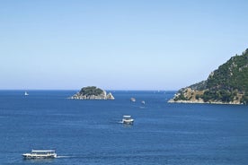 Estrecho del Bósforo y crucero de un día por el Mar Negro desde Estambul