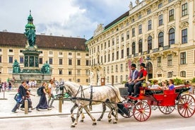 Trasferimento privato da Vienna a Praga