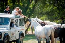 来自La Grande Motte的Camargue 4x4 Safari（半日游）