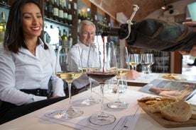 Food and Wine Lesson and Wine Tasting in San Gimignano