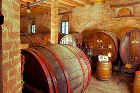 Wine Tour y degustación en el vino más antiguo de Le Marche